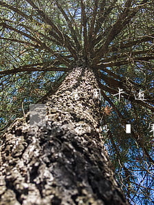 信用卡逾期多久可以還款(欠信用卡錢逾期了可以幾年再還嗎?)