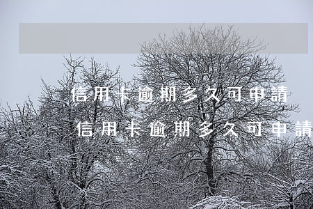 信用卡逾期多久可申請強制執(zhí)行(信用卡逾期多久可申請強制執(zhí)行和解凍)