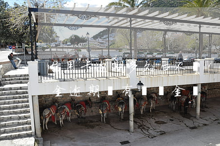 信用卡逾期多久后不產(chǎn)生違約金(逾期會有違約金嗎)