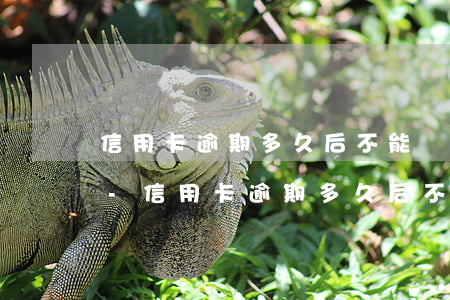 信用卡逾期多久后不能協(xié)商分期-信用卡逾期多久后不能協(xié)商分期還款