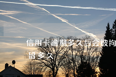 信用卡逾期多久后会被拘留(欠信用卡会被拘留多久)