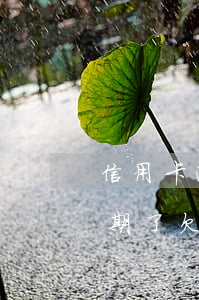信用卡逾期多久后可以協(xié)商(快逾期了欠信用卡還不起跟銀行能有協(xié)商的可能性嗎)