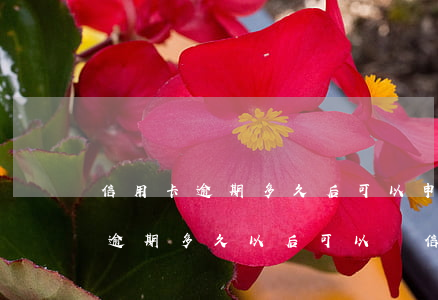 信用卡逾期多久后可以申請消費(fèi) 逾期多久以后可以辦信用卡