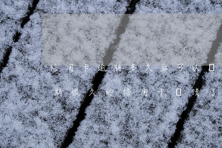 信用卡逾期多久后可以繼續(xù)還款(逾期很久的信用卡還清了還能繼續(xù)用嗎?)
