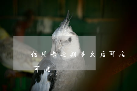 信用卡逾期多久后可以辦(信用卡逾期多久后可以辦)