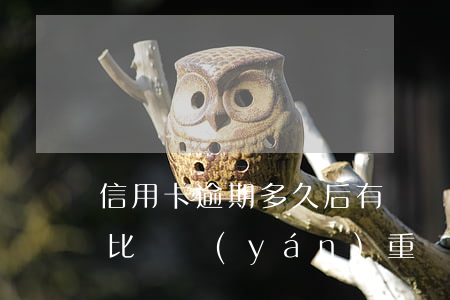 信用卡逾期多久后有問題(信用卡逾期多少天比較嚴(yán)重)