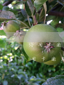 信用卡逾期多久回凍結(jié)儲蓄卡(信用卡 逾期 凍結(jié))