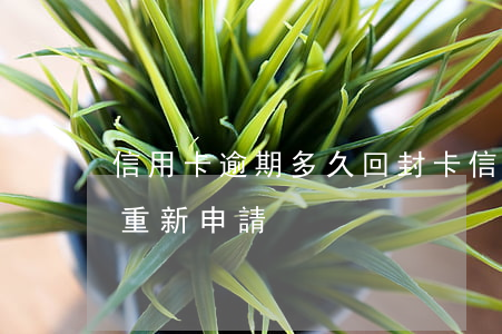 信用卡逾期多久回封卡(信用卡封卡多久可以重新申請)