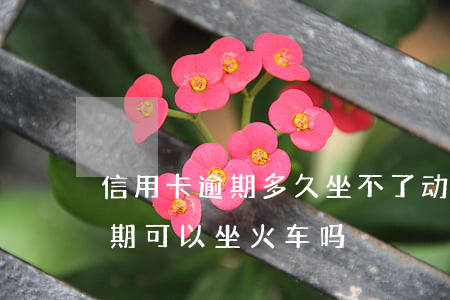 信用卡逾期多久坐不了动车飞机(欠信用卡逾期可以坐火车吗)