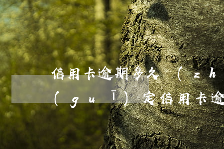 信用卡逾期多久執(zhí)行-今年新規(guī)定信用卡逾期多久會起訴