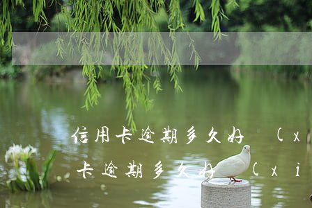 信用卡逾期多久好協(xié)商分期(信用卡逾期多久好協(xié)商分期)