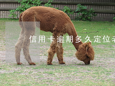 信用卡逾期多久定位老賴-長期拖欠信用卡
