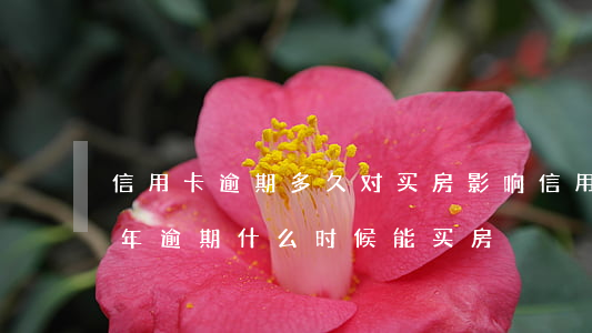 信用卡逾期多久对买房影响(信用卡2018年逾期,什么时候能买房)