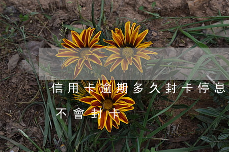 信用卡逾期多久封卡停息(信用卡逾期一天會不會封卡)