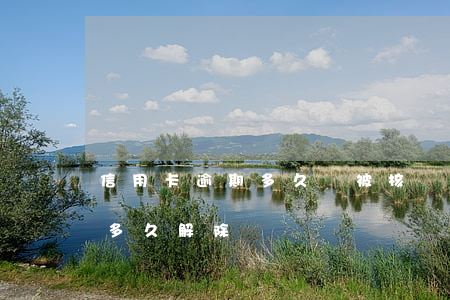 信用卡逾期多久將被核銷(逾期后信用卡異常多久解除)