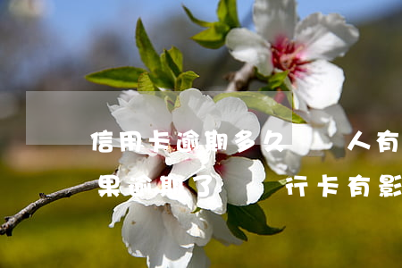 信用卡逾期多久對個人有影響嗎(辦信用卡如果逾期了對銀行卡有影響嗎)