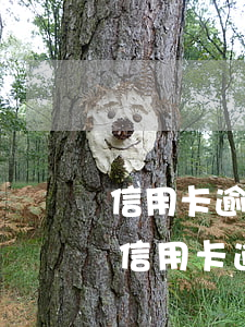 信用卡逾期多久少會(huì)坐牢(銀行的信用卡逾期會(huì)判刑嗎)