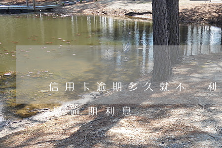 信用卡逾期多久就不漲利息了(信用卡 逾期罰息 逾期利息)