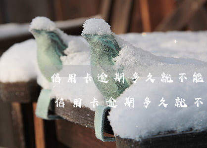 信用卡逾期多久就不能坐飛機(jī)了-信用卡逾期多久就不能坐飛機(jī)了呢