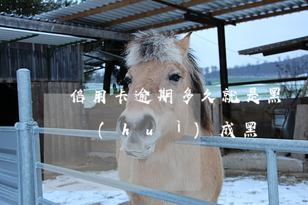 信用卡逾期多久就是黑戶 欠信用卡的錢多久會(huì)成黑戶