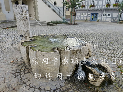 信用卡逾期多久就會(huì)被拉黑(你們的信用卡逾期多久了)