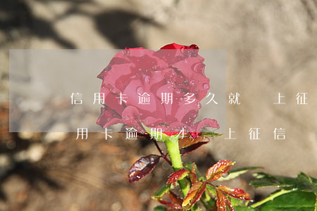 信用卡逾期多久就會上征信-是不是只有信用卡逾期才會上征信