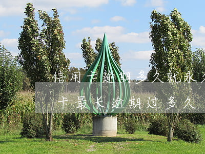 信用卡逾期多久就永久不能用了(你们的信用卡最长逾期过多久)