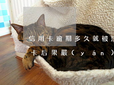 信用卡逾期多久就被注銷了(逾期后注銷信用卡后果嚴(yán)重)