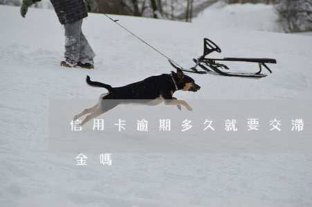 信用卡逾期多久就要交滯納金(逾期要交滯納金嗎)