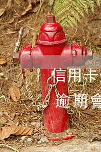 信用卡逾期多久影響信譽(yù)(信用卡不逾期會影響征信嗎)