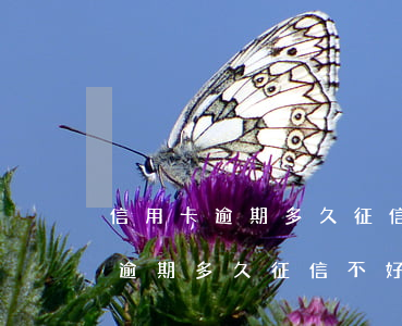 信用卡逾期多久征信不好了怎么辦-信用卡逾期多久征信不好了怎么辦呢