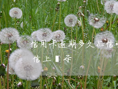 信用卡逾期多久征信可以顯示(逾期多久在征信上顯示)