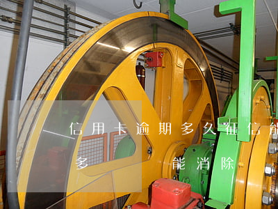 信用卡逾期多久征信能消除(一般逾期了征信多長時間能消除?)