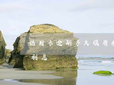 信用卡逾期多久很有利息(信用卡逾期幾天有利息)