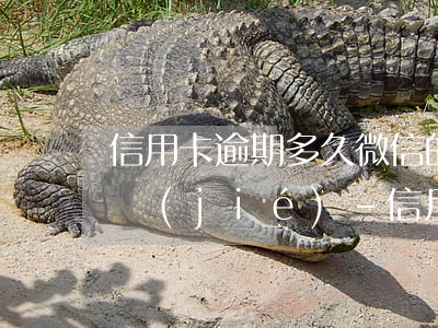 信用卡逾期多久微信的錢會(huì)被凍結(jié)-信用卡逾期多久微信的錢會(huì)被凍結(jié)呢