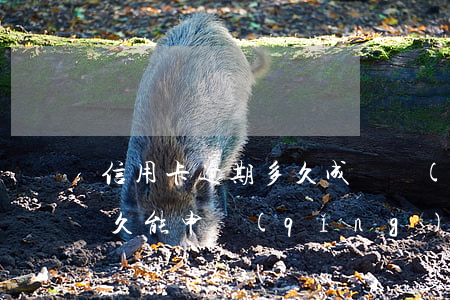 信用卡逾期多久成為(嚴(yán)重逾期多久能申請(qǐng)信用卡)