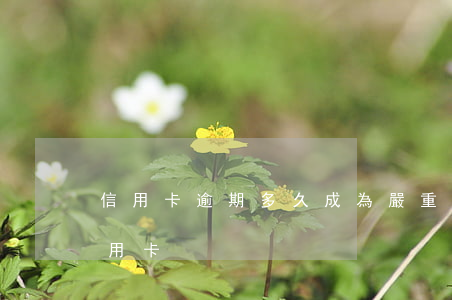 信用卡逾期多久成為(嚴重逾期多久能申請信用卡)