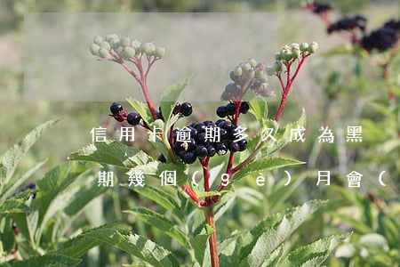 信用卡逾期多久成為黑戶-連續(xù)逾期幾個(gè)月會(huì)黑戶