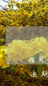 信用卡逾期多久或多少金額上征信-信用卡 逾期 多少天
