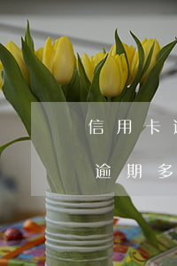 信用卡逾期多久或多少金额上征信-信用卡 逾期 多少天