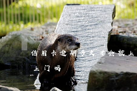 信用卡逾期多久才会被上门(信用卡逾期了会上门吗)