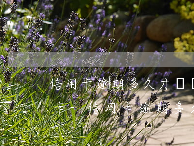 信用卡逾期多久才凍結(jié)所有借記卡-信用卡逾期多久才凍結(jié)所有借記卡呢