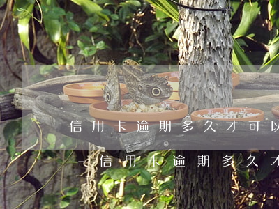 信用卡逾期多久才可以個(gè)性化分期-信用卡逾期多久才可以個(gè)性化分期還款
