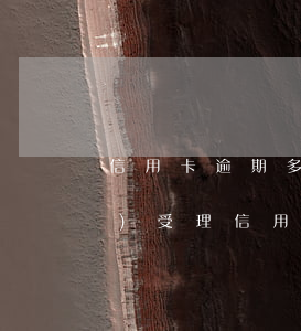 信用卡逾期多久才可以立案(法院會(huì)受理信用卡逾期案件嗎)