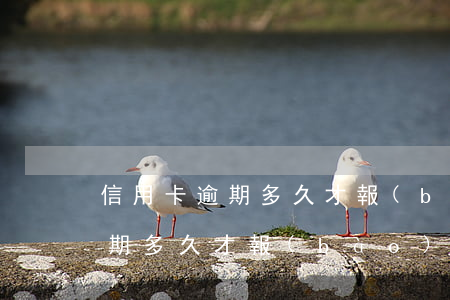 信用卡逾期多久才報(bào)警(信用卡逾期多久才報(bào)警)