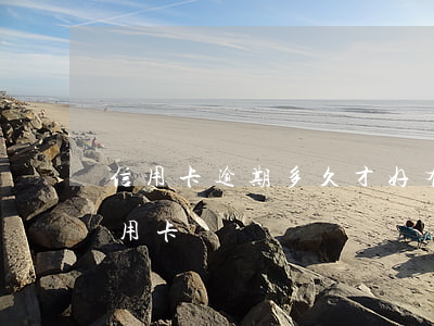 信用卡逾期多久才好(有過逾期多久才能辦信用卡)