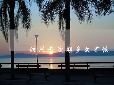 信用卡逾期多久才恢復(信用卡 逾期多久)