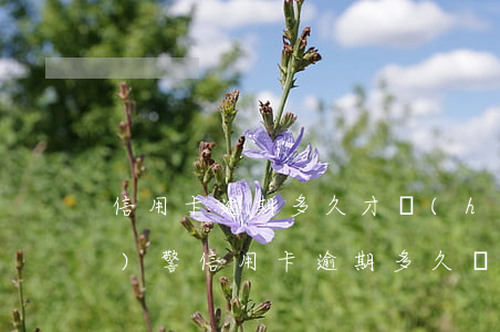信用卡逾期多久才會(huì)報(bào)警(信用卡逾期多久會(huì)立案)