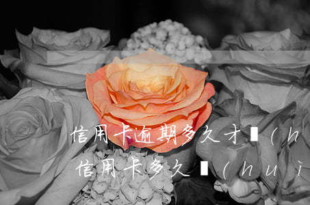 信用卡逾期多久才會(huì)收走房子(欠信用卡多久會(huì)查封房子)