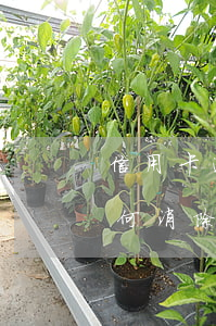 信用卡逾期多久才會(huì)消除記錄(如何消除信用卡逾期記錄)